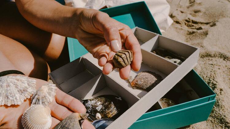 beachcombing