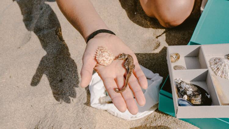 beachcombing