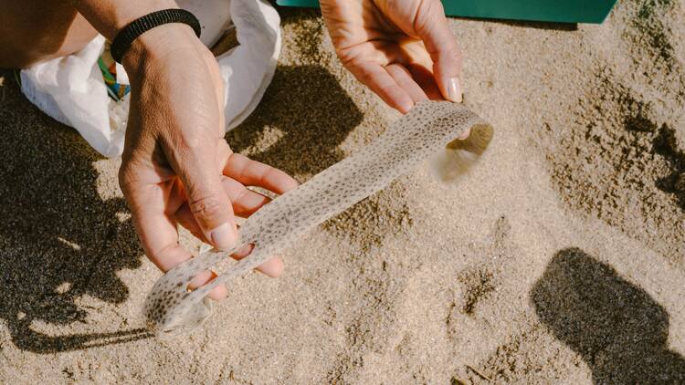 beachcombing