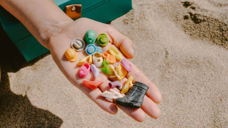 beachcombing