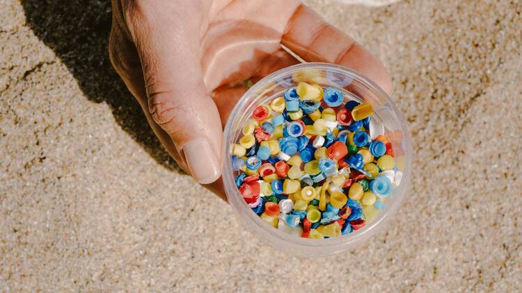 beachcombing