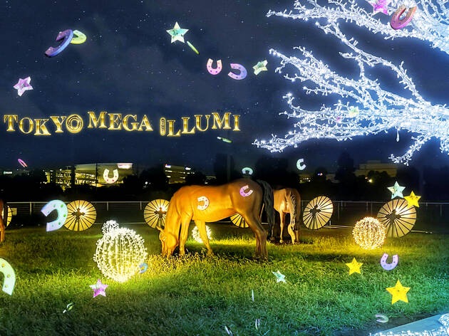 Tokyo Mega Illumination Tokyo City Keiba Things To Do In Tokyo