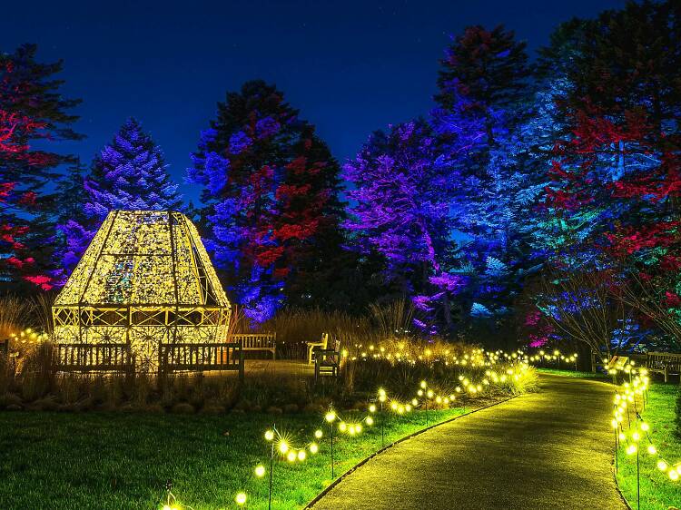 Bagliore del giardino botanico di New York