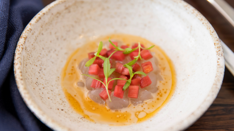 Lobster carpaccio with pickled rhubarb and lobster cream