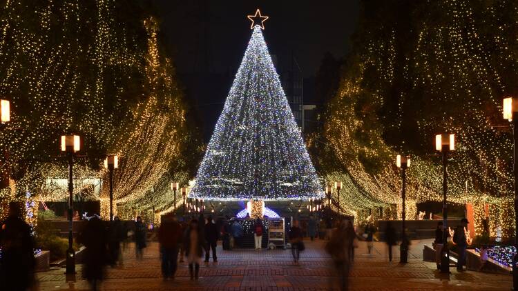 Tama Centre Illumination