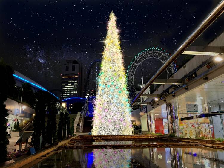 19 Best Christmas Trees In Tokyo