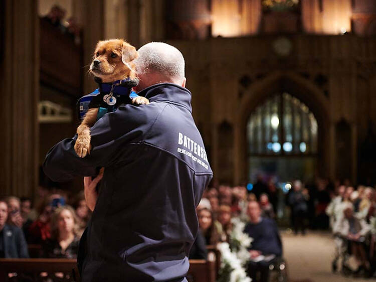 Battersea Dogs & Cats Home’s Carol Concert