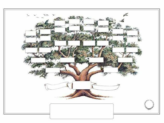 Árbol genealógico (Espacio Abierto) Árbol genealógico (Espacio Abierto)