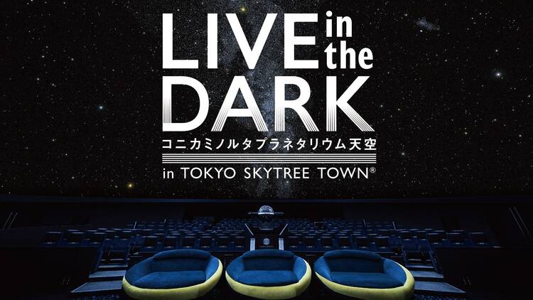 LIVE IN THE DARK w／yama