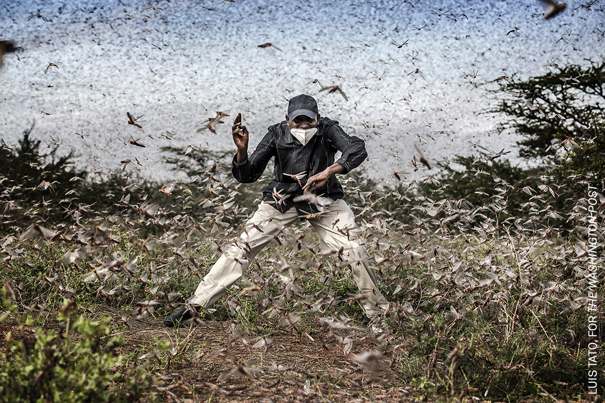 World Press Photo