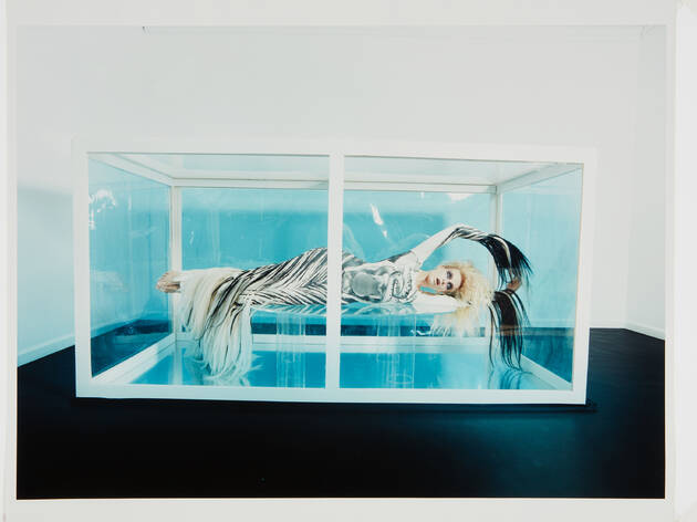 David LaChapelle David LaChapelle