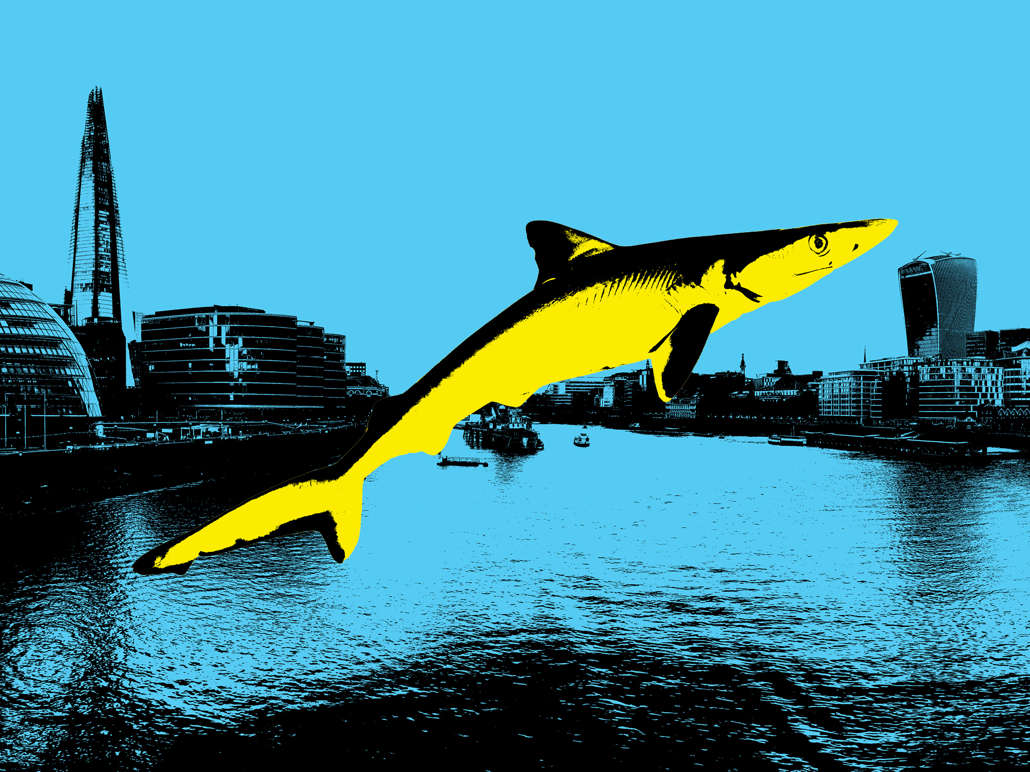 Three species of shark have been found living in the Thames