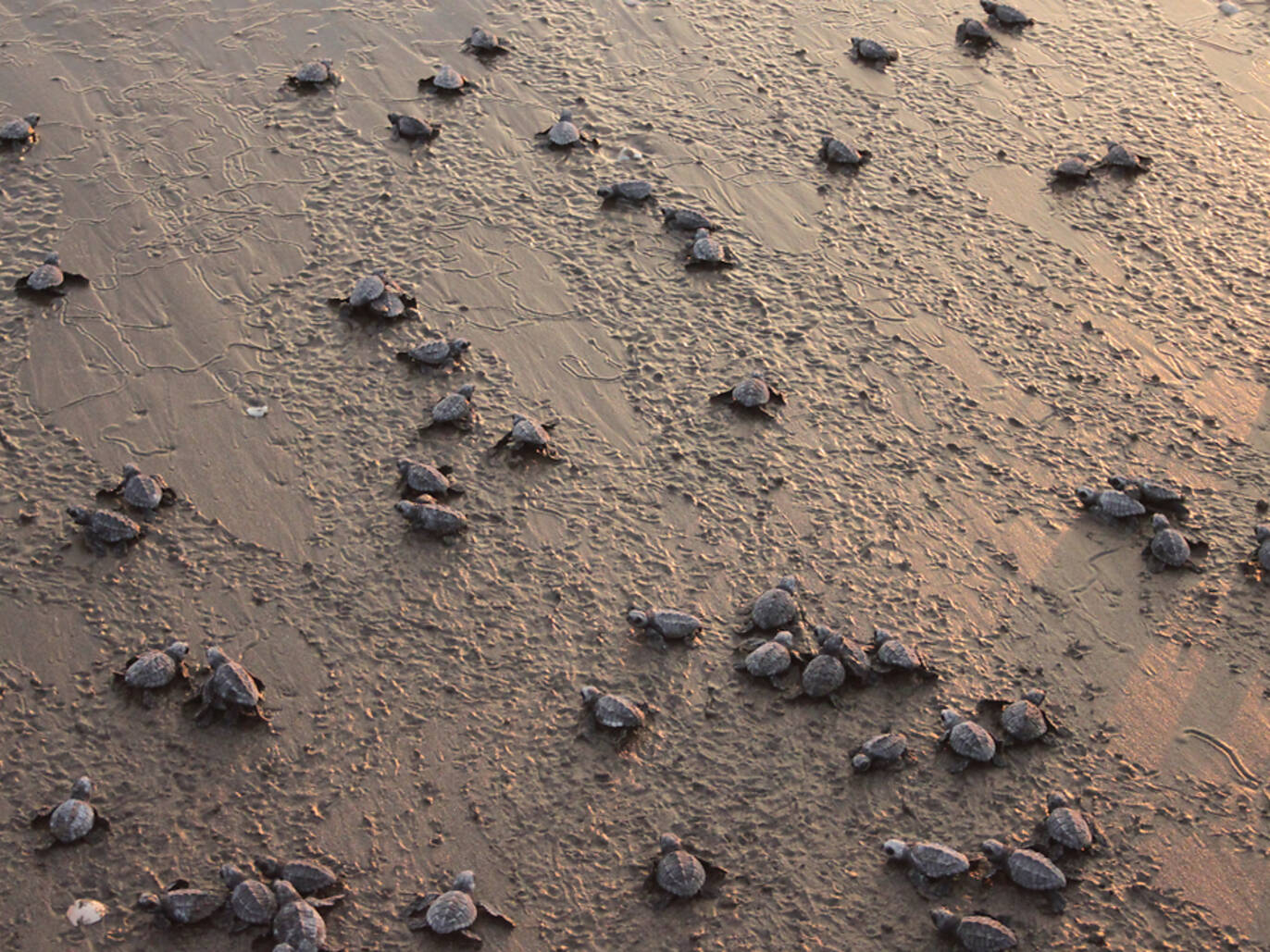 21 Amazing Things Cities are Doing to Fight the Climate Crisis