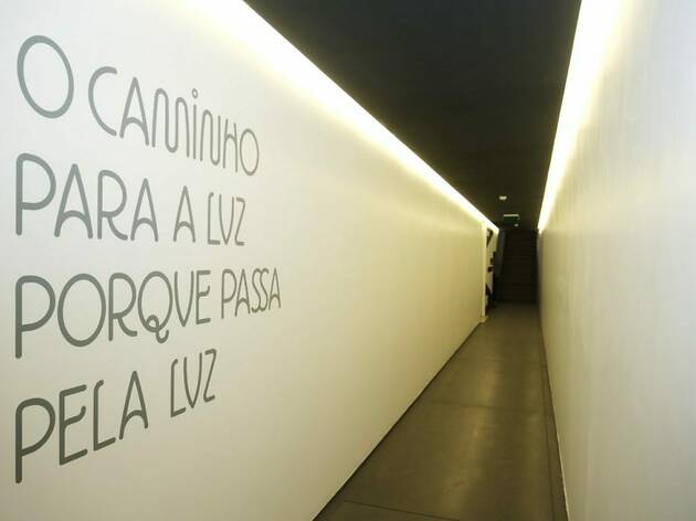 O Caminho para a Luz Porque Passa pela Luz O Caminho para a Luz Porque Passa pela Luz