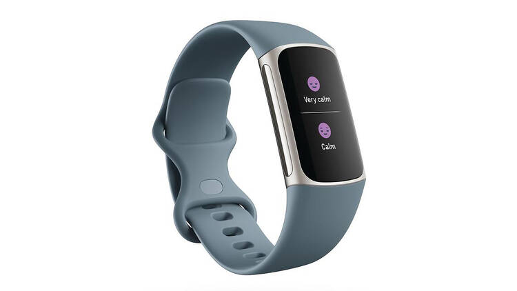 Fitbit Charge 5 