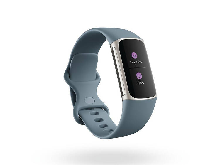 Fitbit Charge 5 