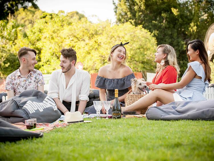 Moonlight Cinema