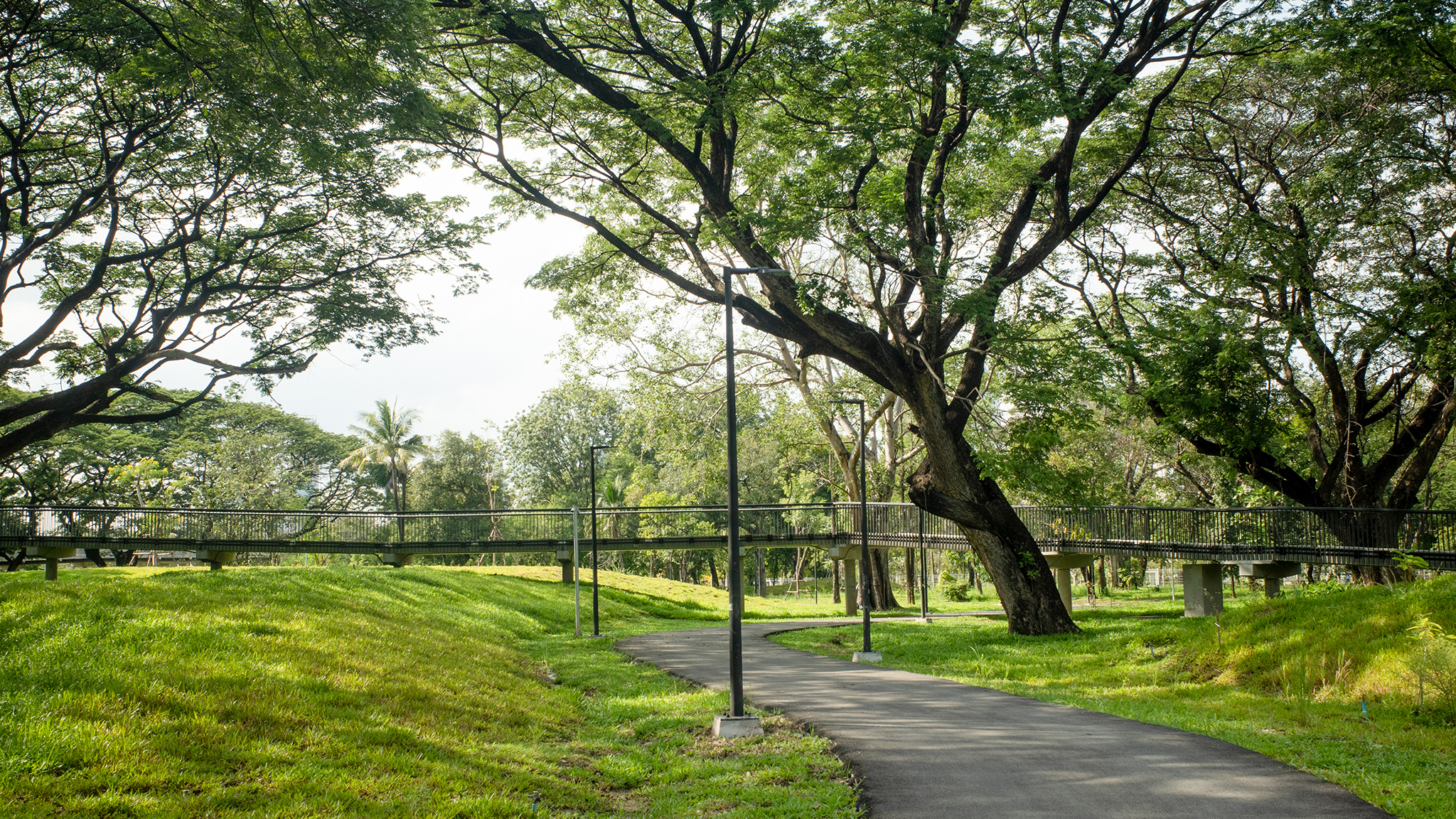 สวนป่าเบญจกิติ (Benjakitti Park)