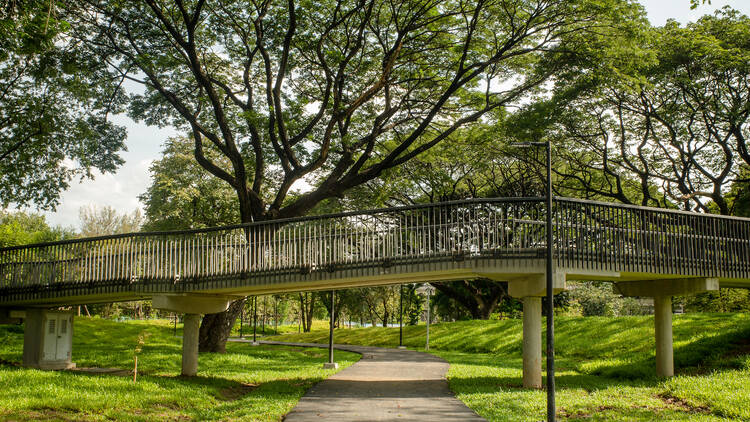 สวนป่าเบญจกิติ (Benjakitti Park)