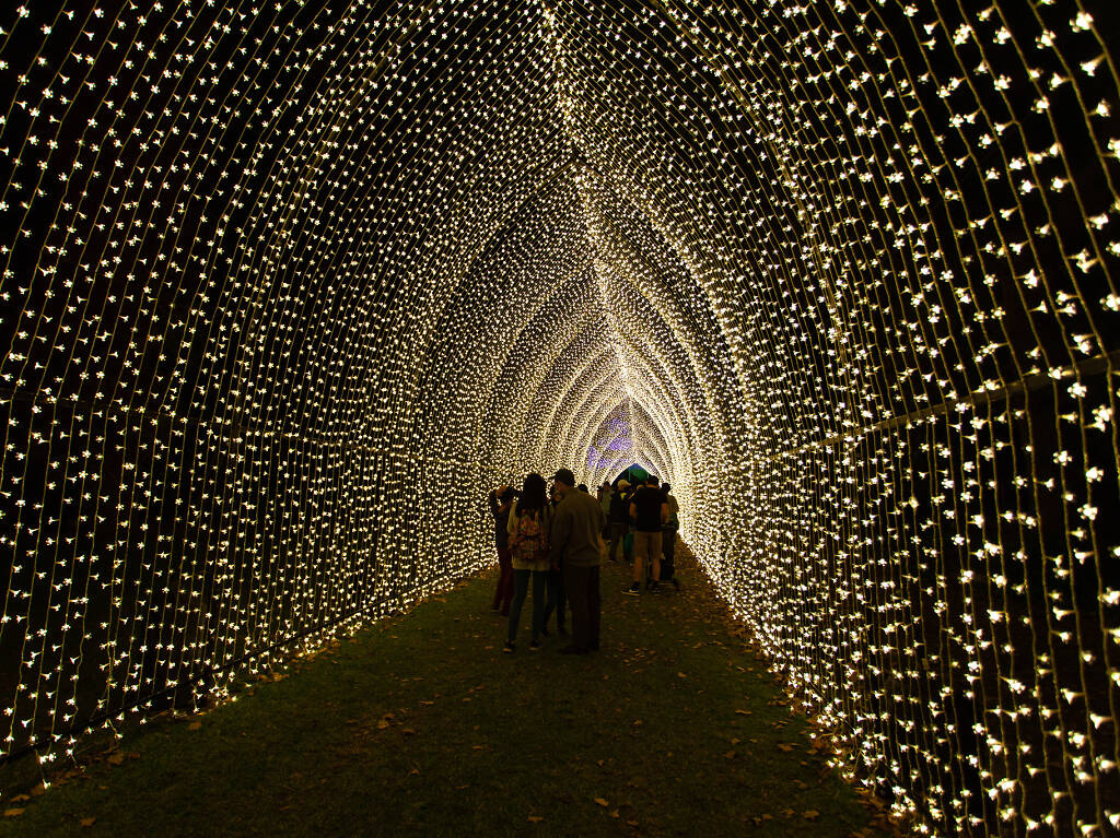 17 Best Places to See Christmas Lights in Los Angeles