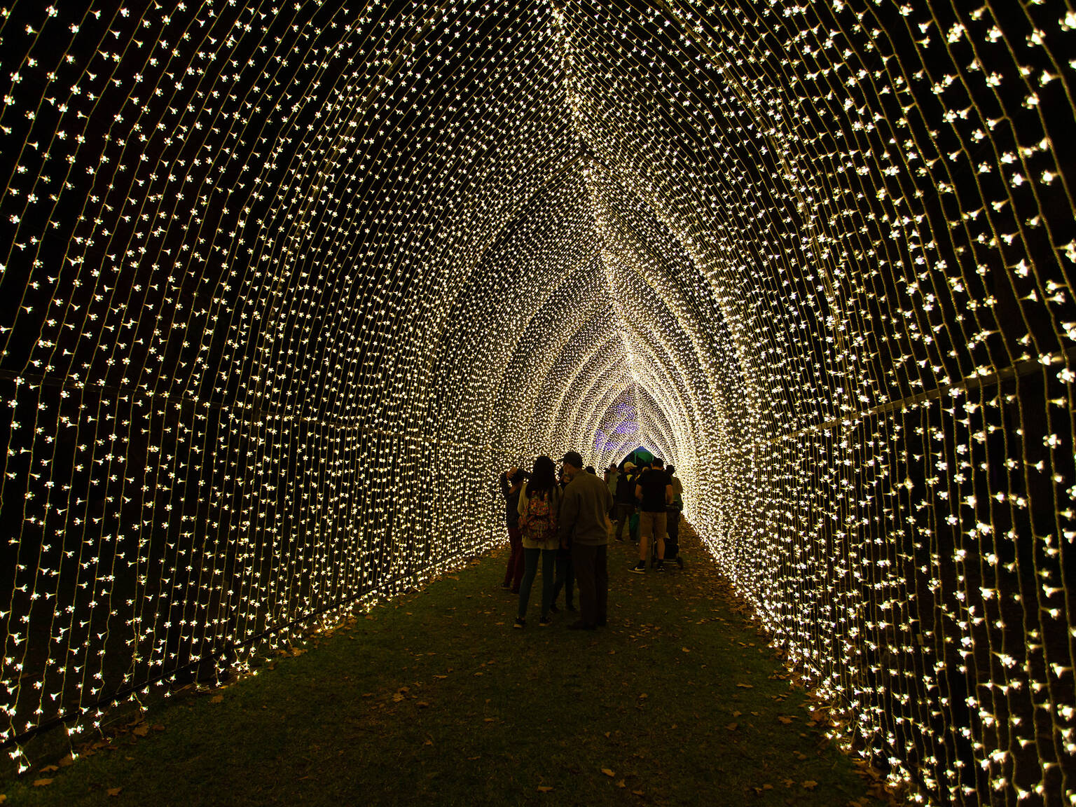 17 Best Places to See Christmas Lights in Los Angeles