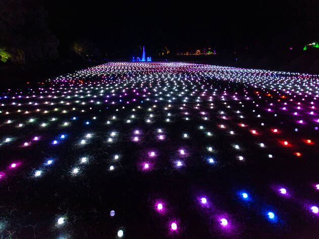 arboretum lightscape