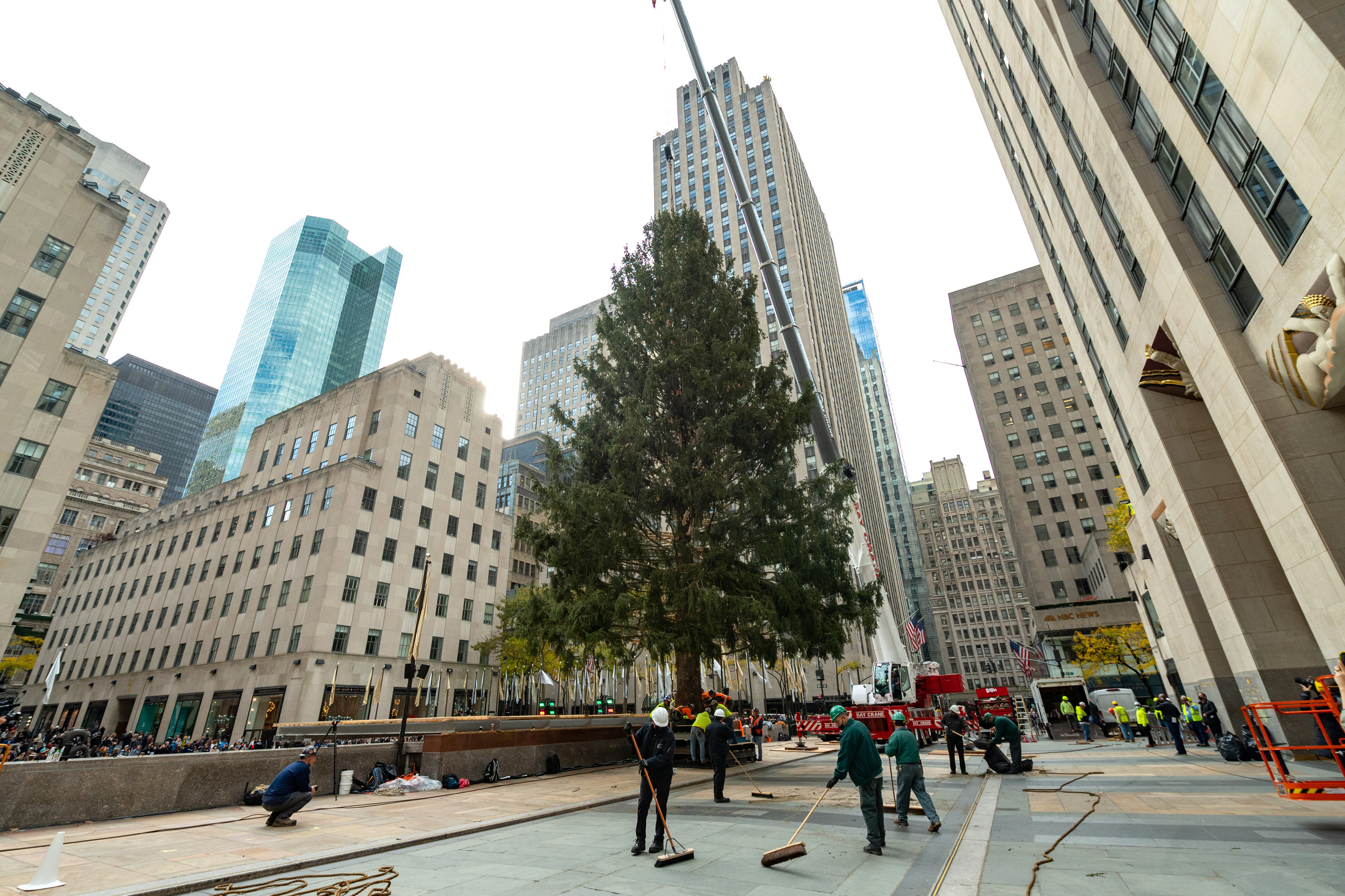 2021 Rockefeller Center Christmas Tree Arrival