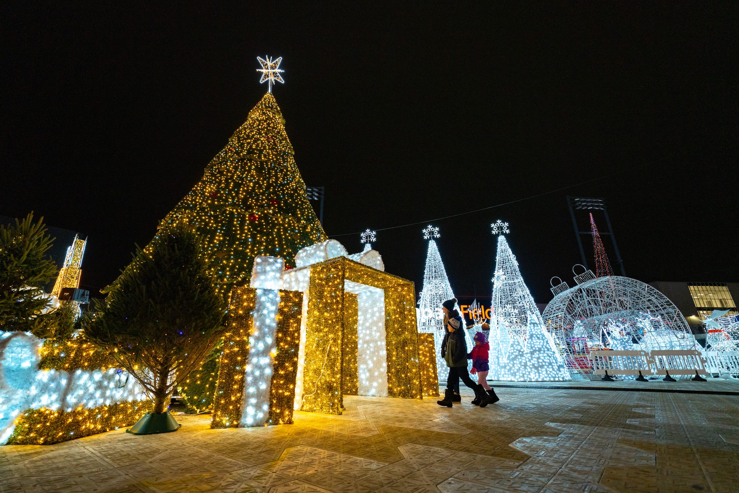 Amaze Light Festival in Rosemont