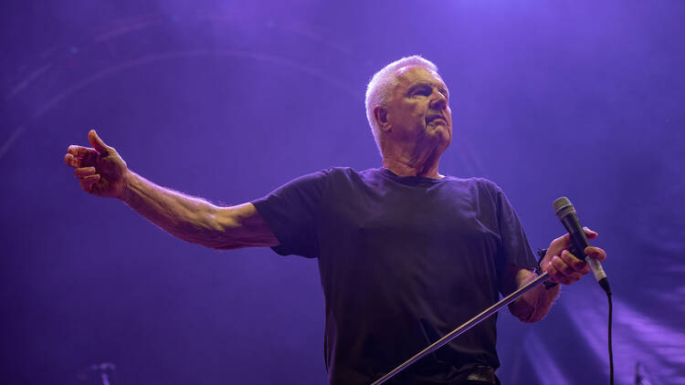 Daryl Braithwaite performing