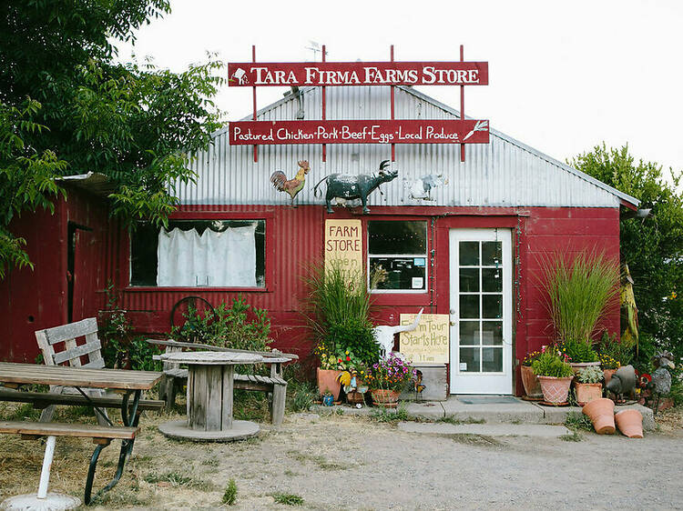 Sample the bounty on the Sonoma Farm Trails