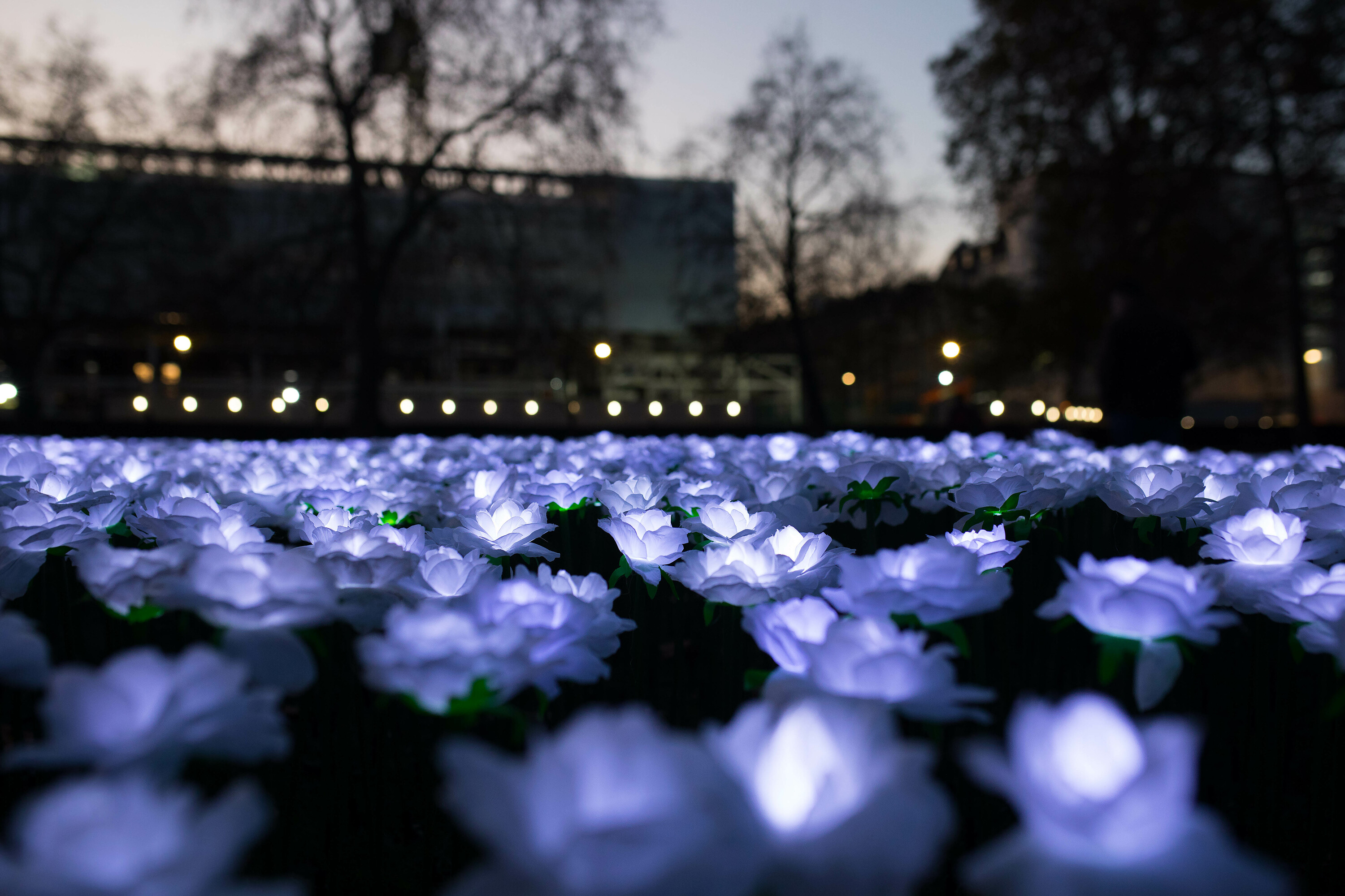 Ever After Garden - Grosvenor Square