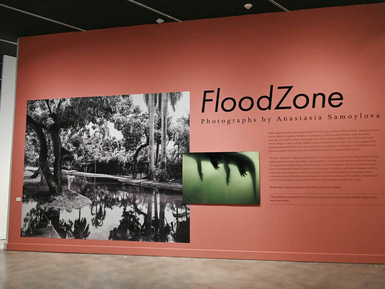FloodZone