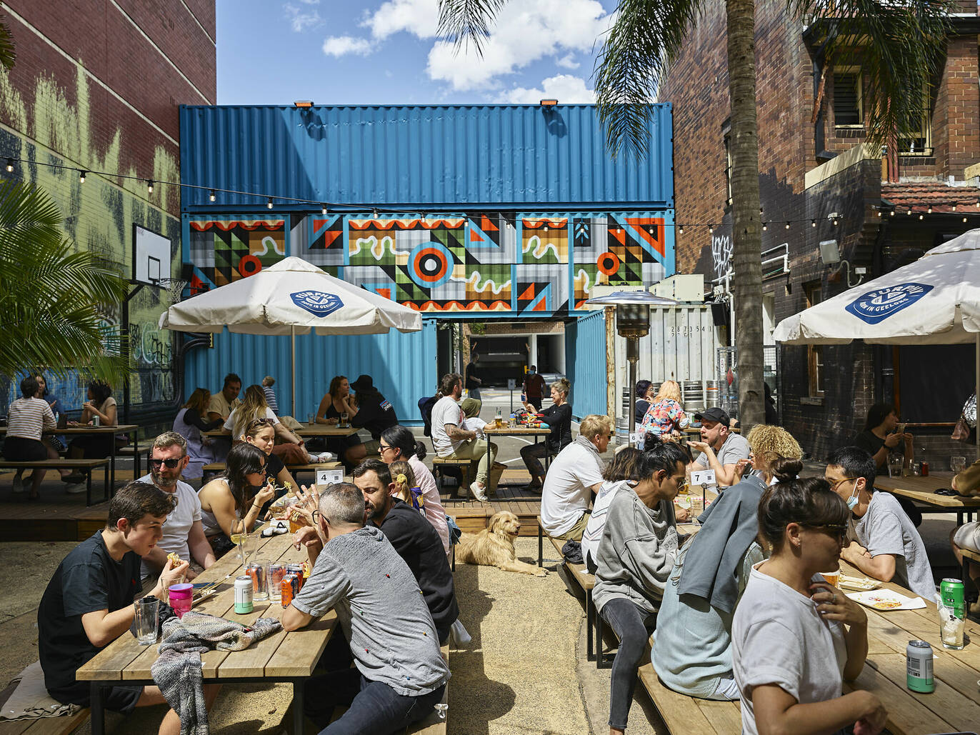 24 best beer gardens in Sydney