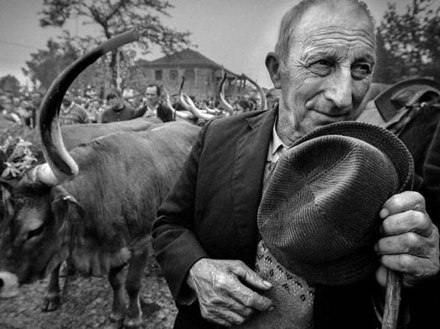 A benção dos animais Alfredo Cunha
