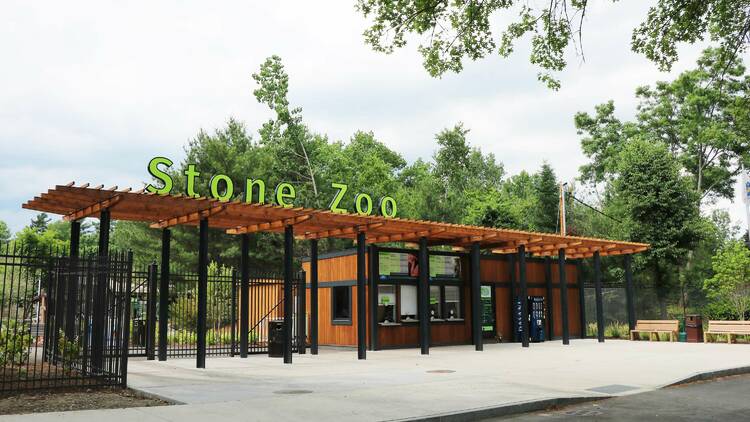 Stone Zoo