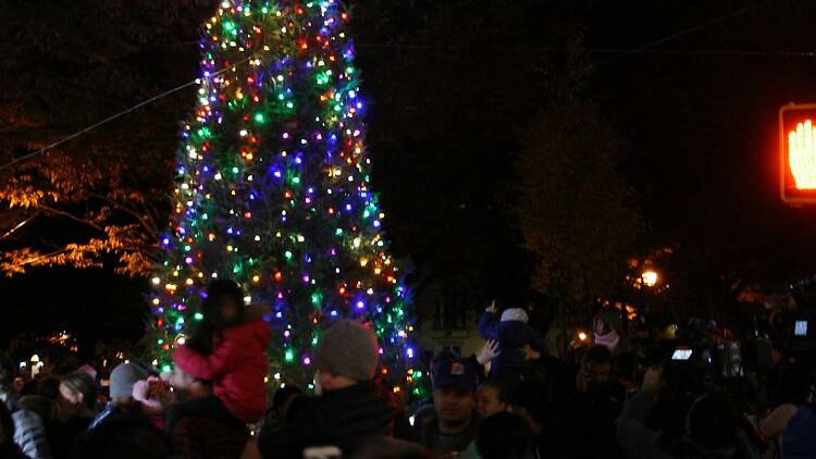 Park Slope tree lighting