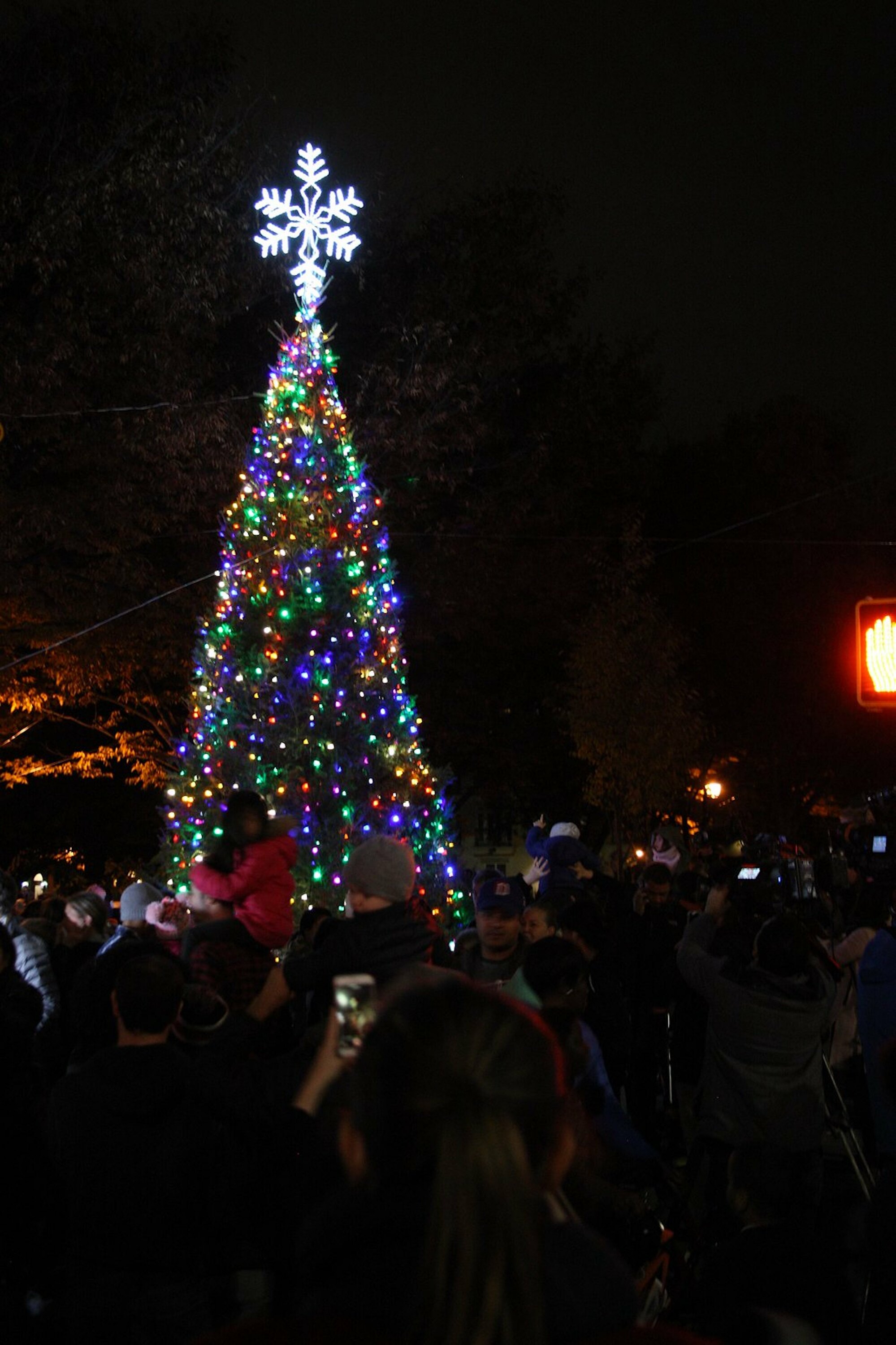 Park Slope Tree Lighting Things To Do In New York