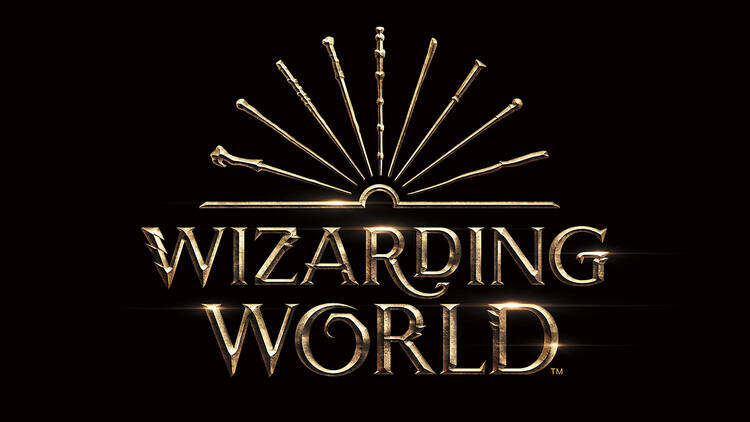 Visit the Wizarding World’s 20th anniversary site 