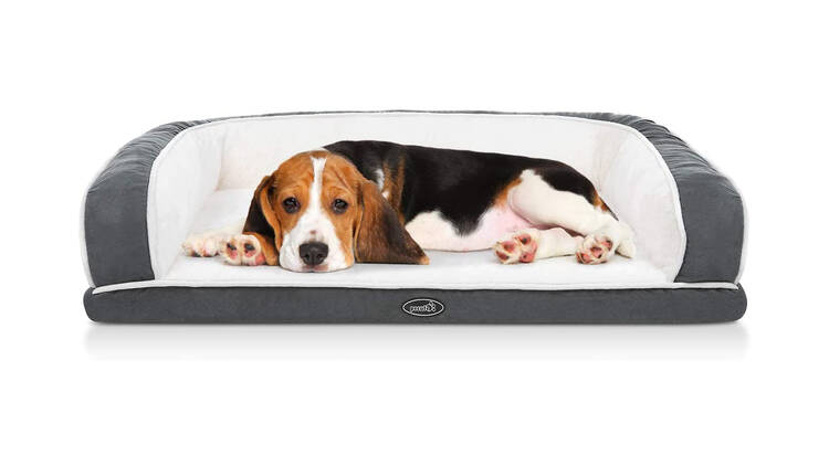 Pecute Orthopedic Dog Sofa Bed