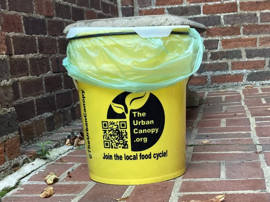 How To Compost in Chicago 5 Easy Ways To Get Started