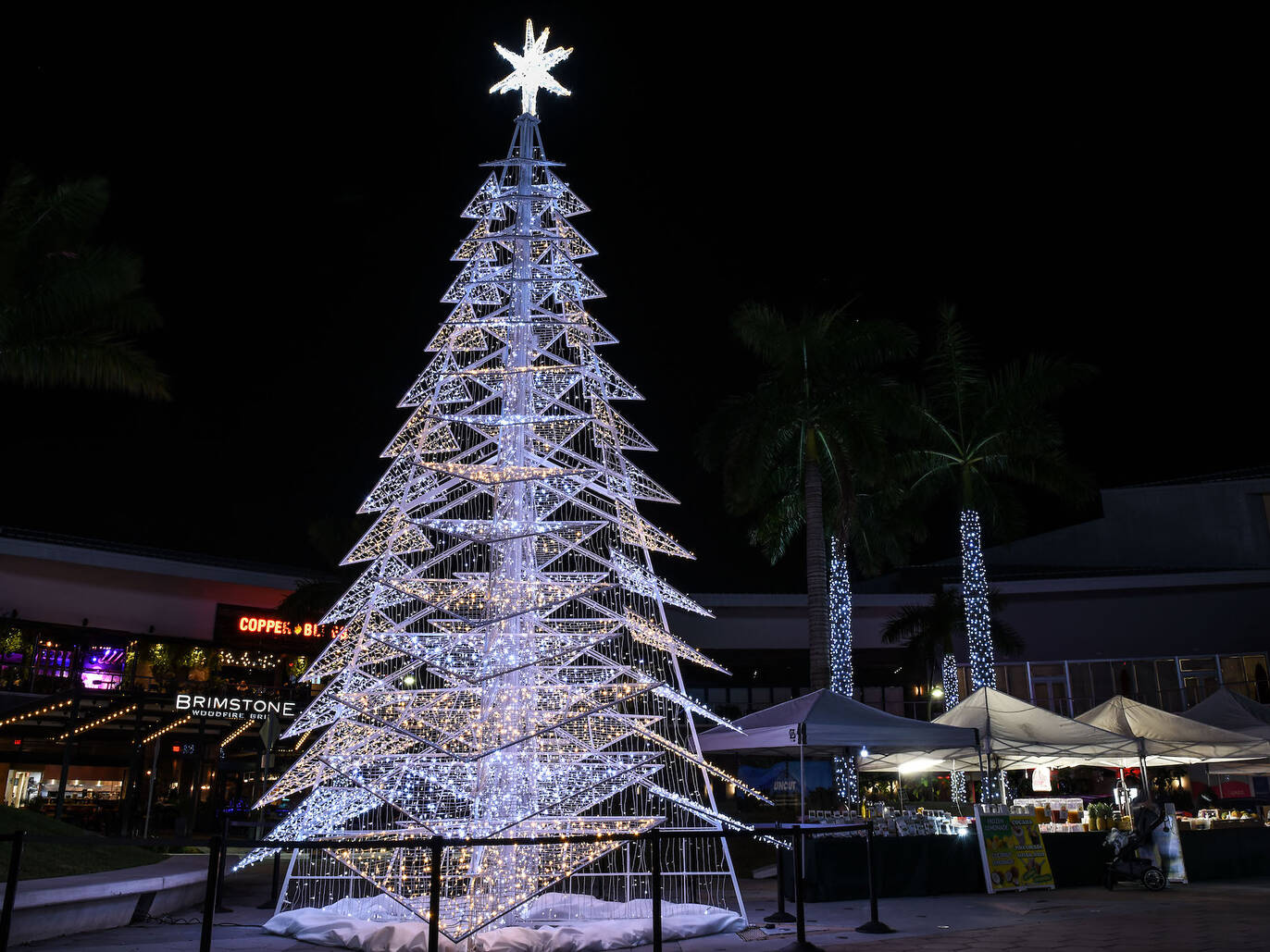 Where to see the most spectacular Christmas lights in Miami