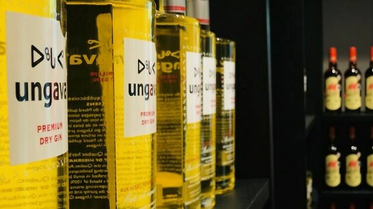 Ungava