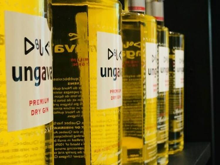 Ungava