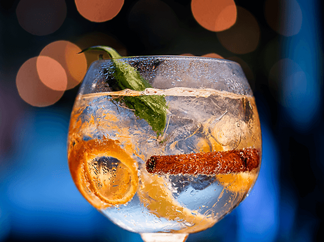 Gin tónico Gin tónico