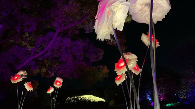 Brooklyn Botanic Garden Lightscape