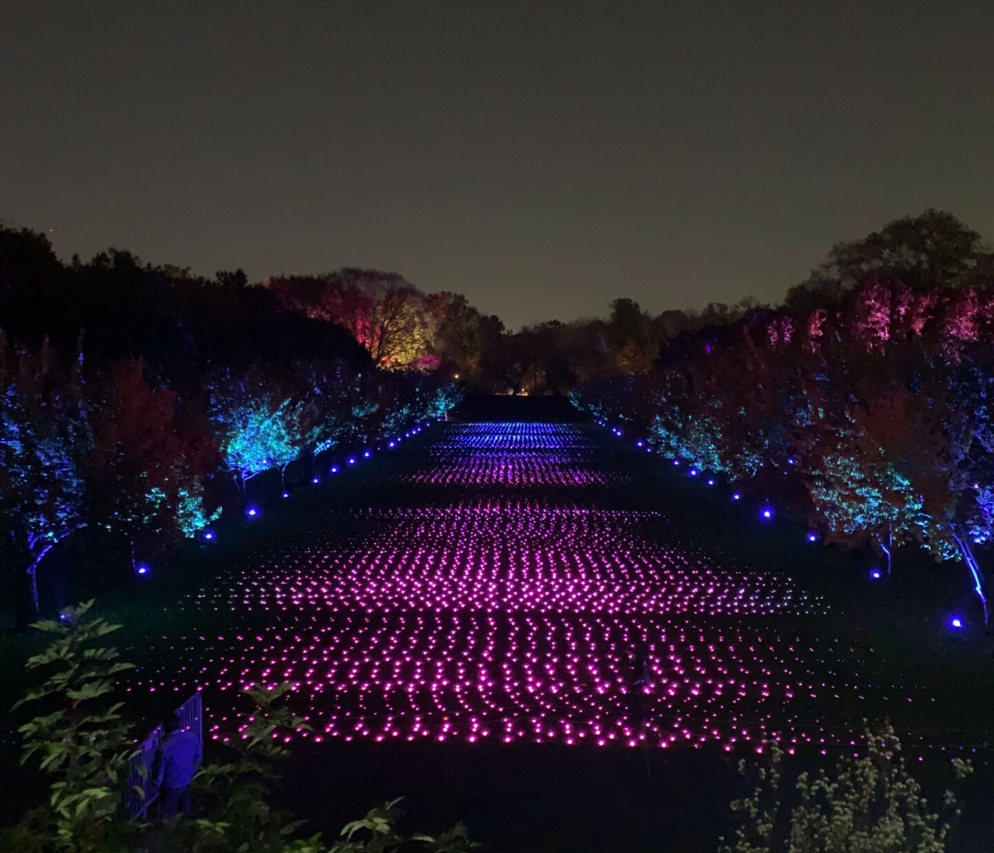 See Inside Brooklyn Botanic Garden S First Ever Holiday Lights Show ...