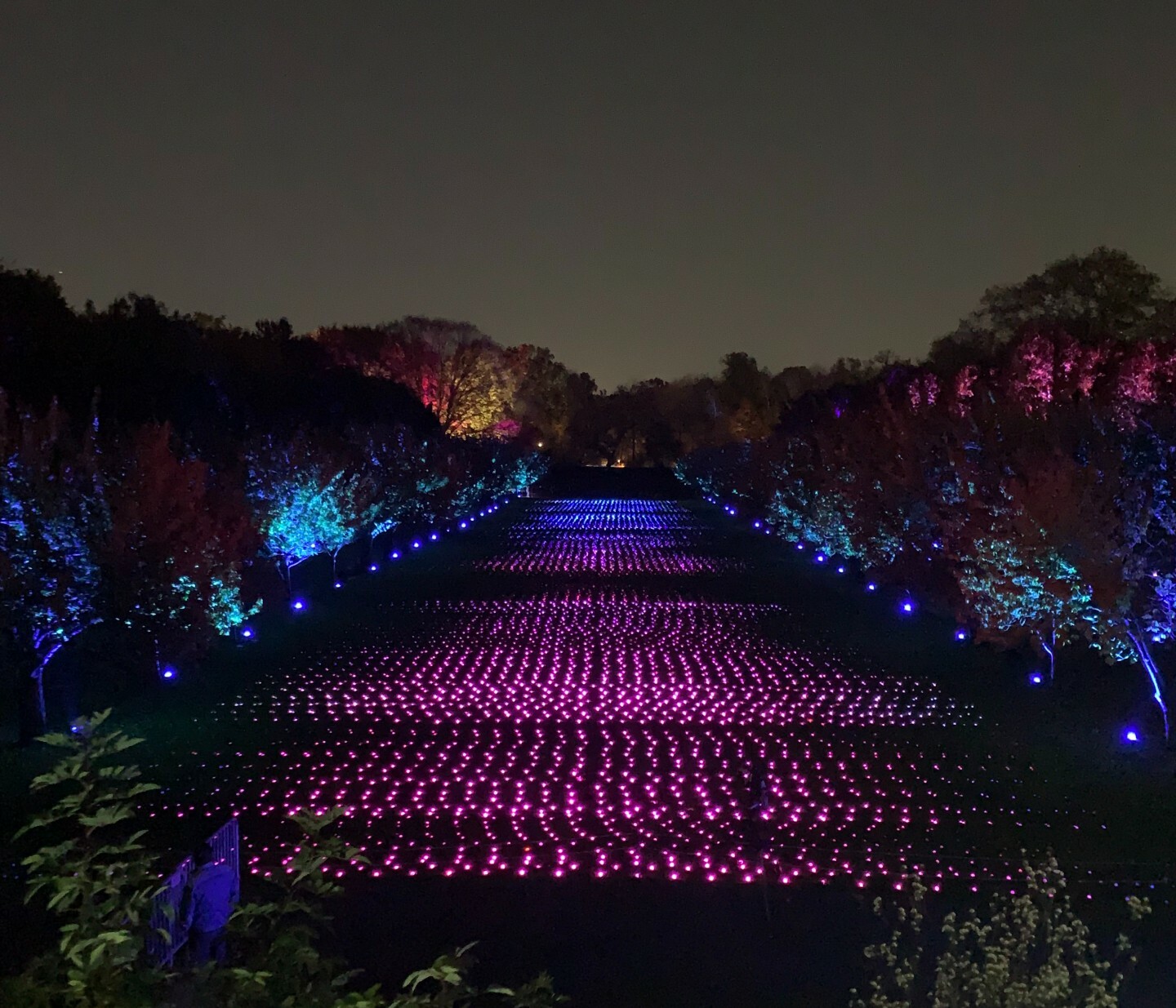 Lightscape Brooklyn Botanic Garden