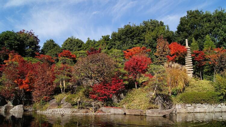 Mejiro Teien Autumn