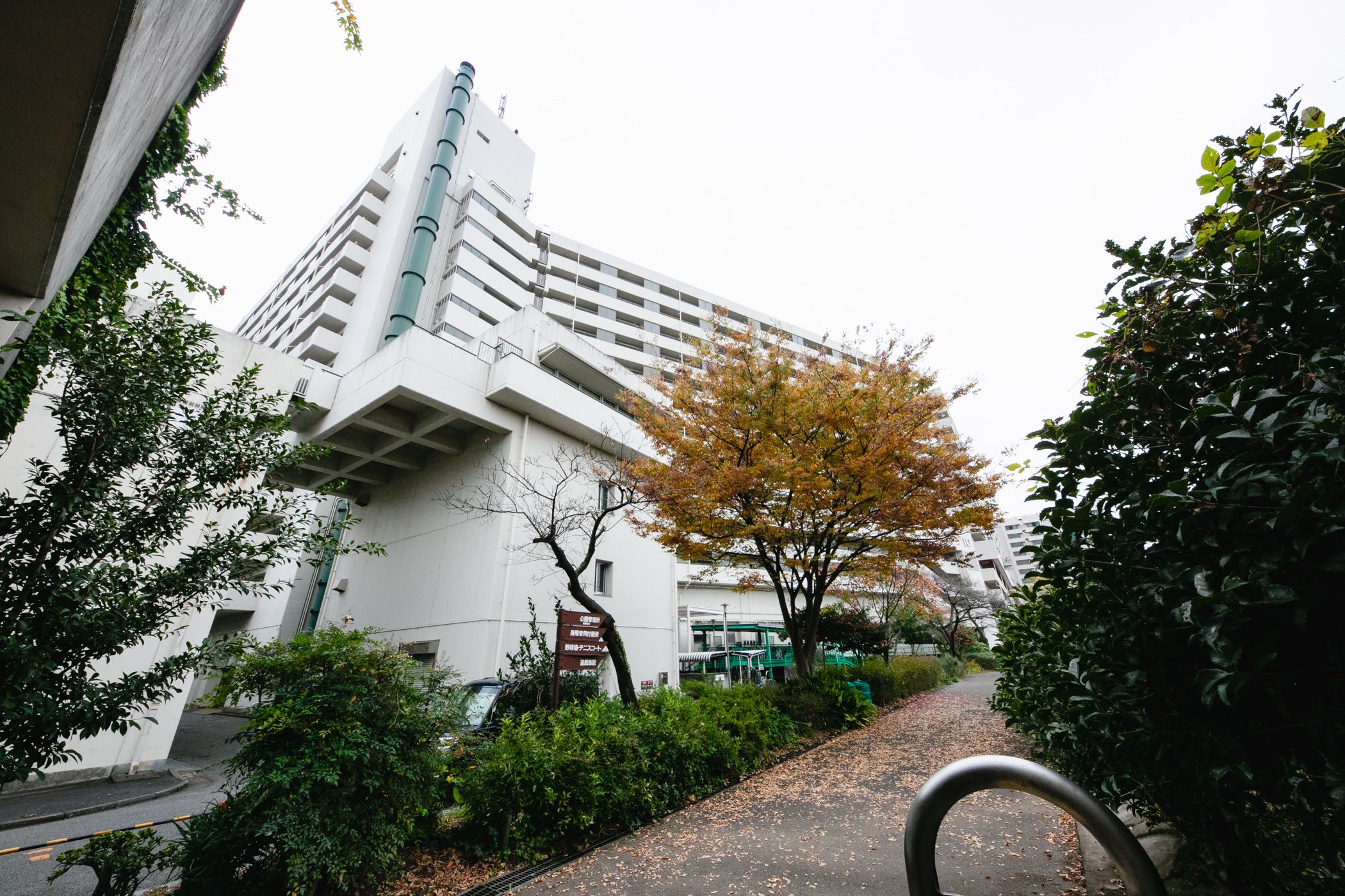 『メタ観光街歩きツアーin鐘ヶ淵&東向島』