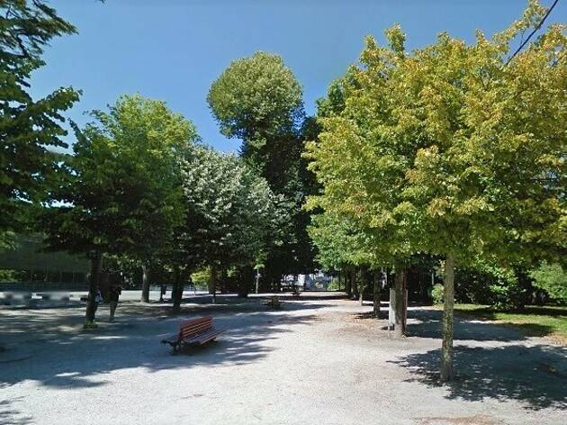 Avenida das Tílias nos jardins do Palácio de Cristal Avenida das Tílias nos jardins do Palácio de Cristal